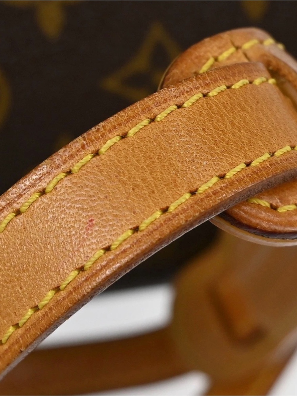 Louis Vuitton Blois Monogram Canvas Dome crossbody Bag with Vachetta Trim - Picture 15 of 15